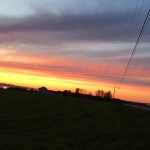 Meet your Posher, Marilyn